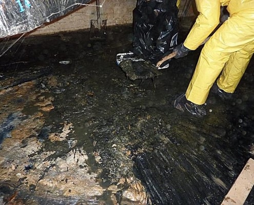 sewage cleanup service toronto