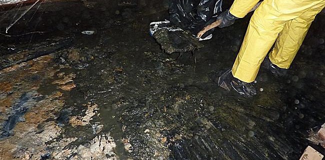 sewage cleanup service toronto