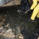 sewage cleanup service toronto