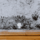 removing-mold-from-home-toronto