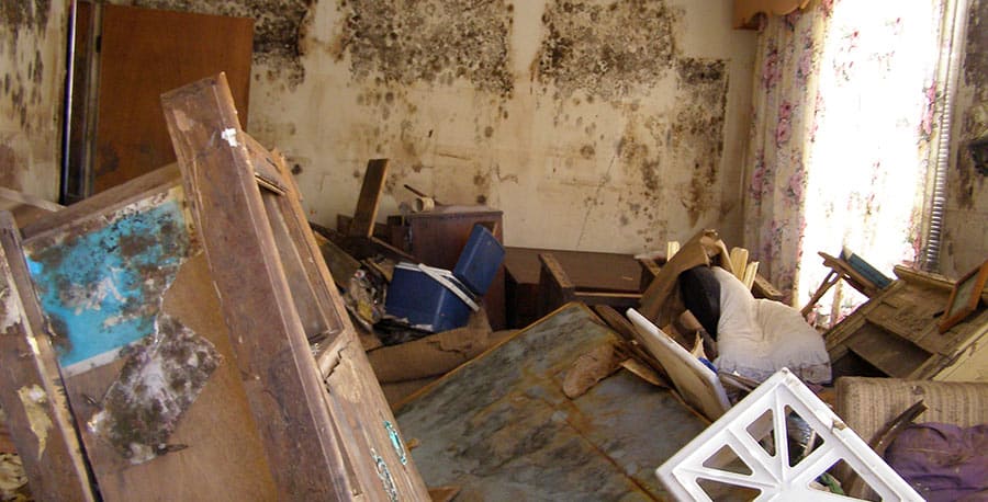 biohazard cleanup toronto