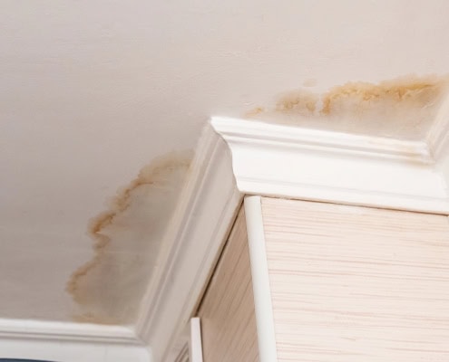 signs of water and mold damage in toronto home