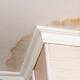 signs of water and mold damage in toronto home