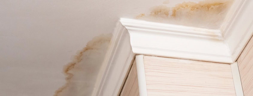 signs of water and mold damage in toronto home