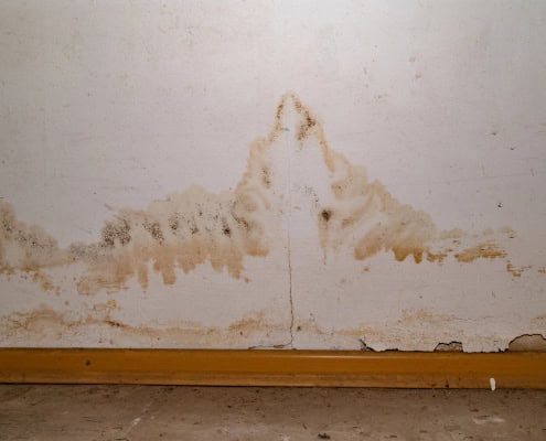 signs of water damage and mold issues in toronto home
