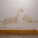 signs of water damage and mold issues in toronto home