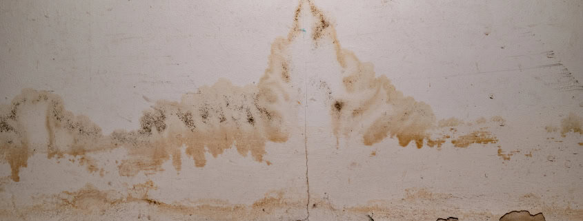 signs of water damage and mold issues in toronto home