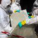 Asbestos removal company
