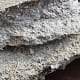 asbestos removal Toronto