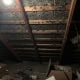 bad mold infestation attic toronto home