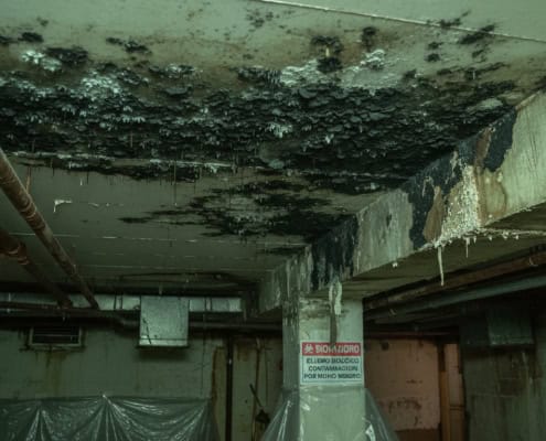 mold growing in commercial industrial building toronto