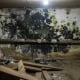 mold in basement toronto
